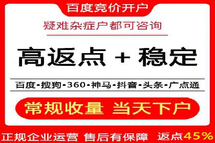 某公司通过百度竞价实现业务快速增长的案例